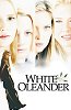 white oleander