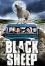 black sheep