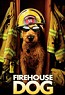 Firehouse Dog