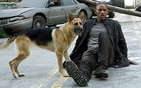 I Am Legend