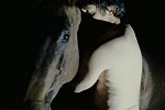 horse love