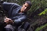 grylls