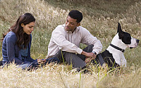 Seven Pounds