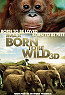 born to be wild 3d