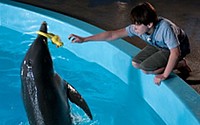 Dolphin Tale