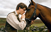 War Horse