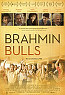 Brahmin Bulls