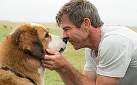 A Dog's Purpose