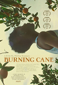 Burning Cane