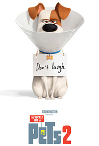 Secret Life of Pets 2 (2019)