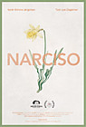 Narciso