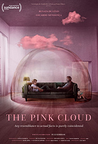 The Pink Cloud