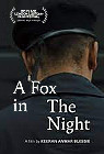 A Fox in the Night