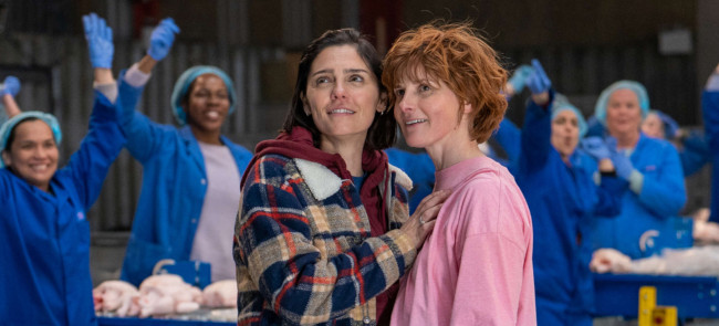 scholey and brealey