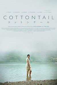 Cottontail