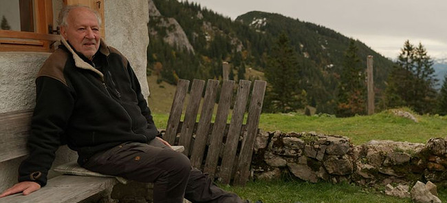 herzog