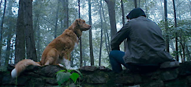 indy and jensen
