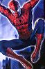 does whatever a spider can